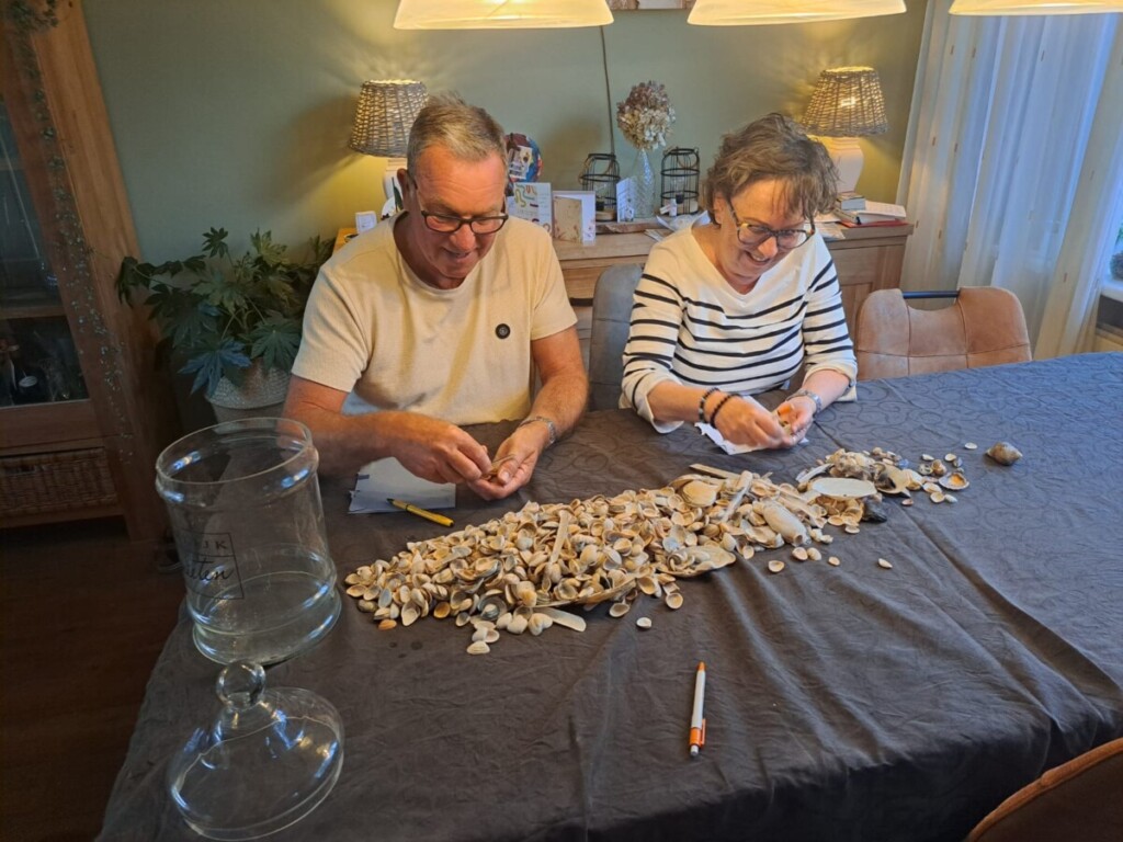 Avavieren op veine dagen